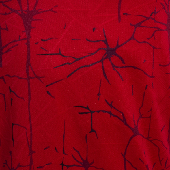 CAMISETA MANGA CORTA ELITE IX ROJO