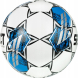 Мяч футб. SELECT Team DB V25, 0865560022, р.5, FIFA Basic, 32 пан, гл.ПУ, гибридн.сш., бело-синй